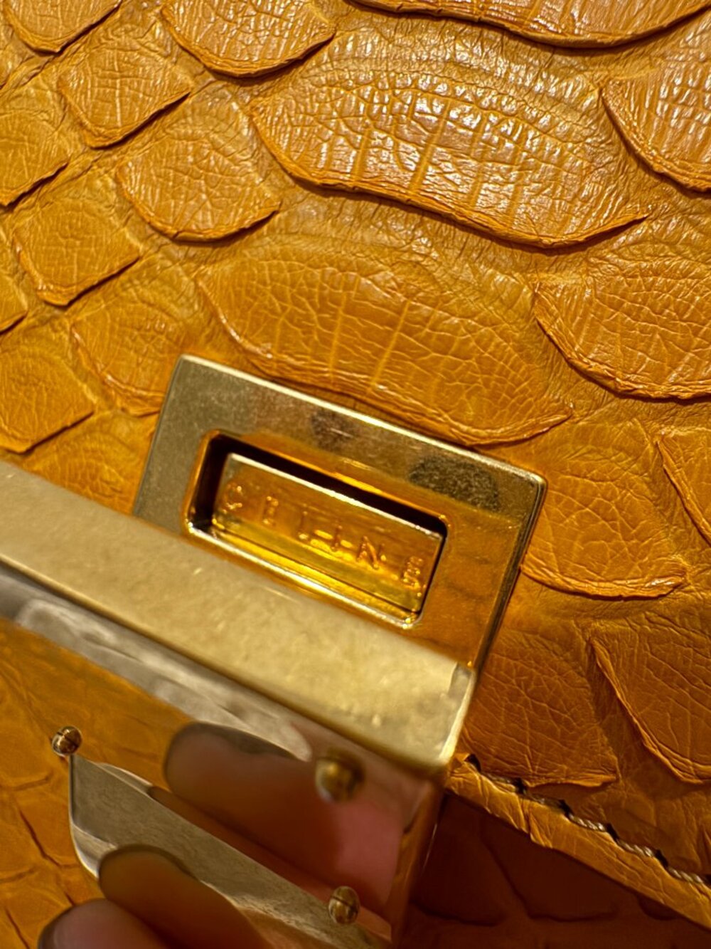 Celine Python Box - Medium - Picture 10 of 15